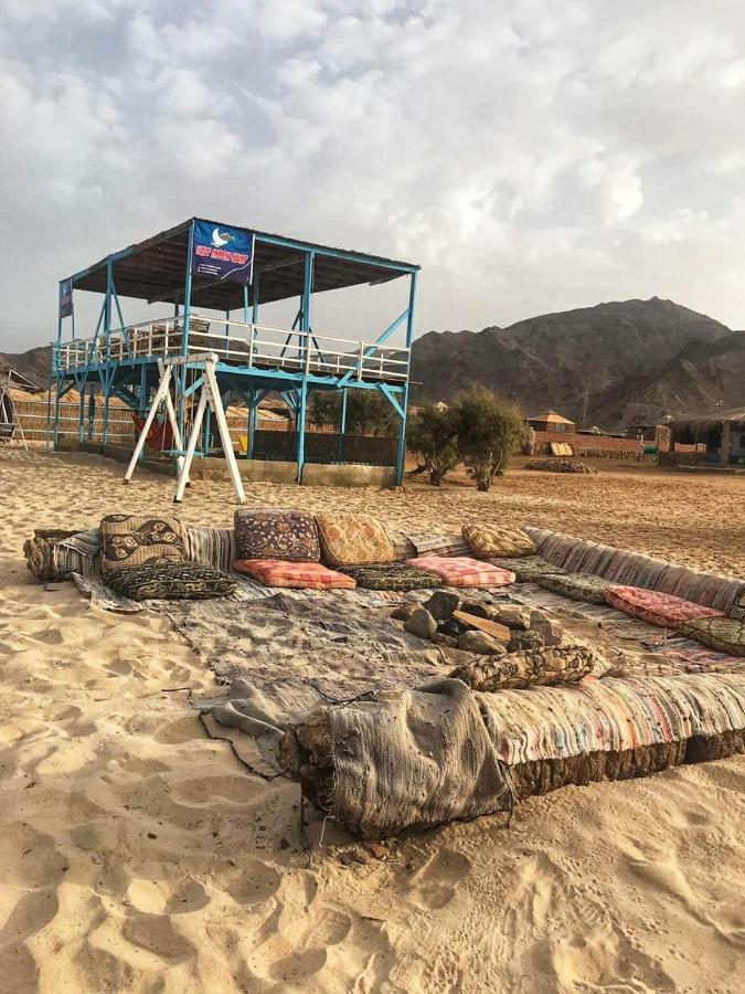 Hôtel Half Moon Camp à Taba Extérieur photo