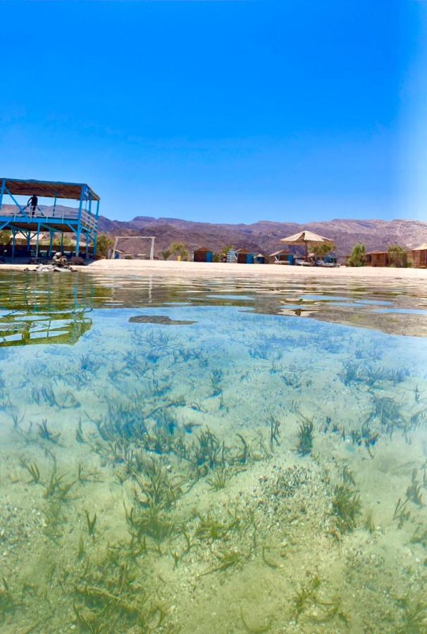 Hôtel Half Moon Camp à Taba Extérieur photo