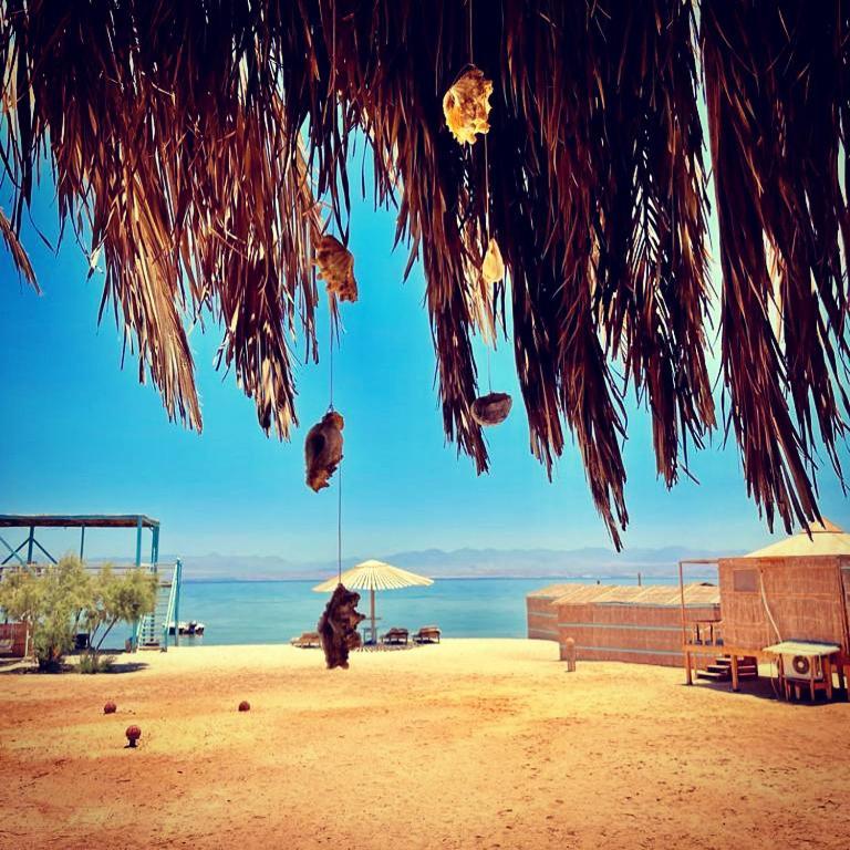 Hôtel Half Moon Camp à Taba Extérieur photo