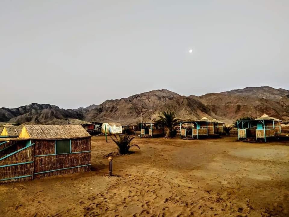 Hôtel Half Moon Camp à Taba Extérieur photo